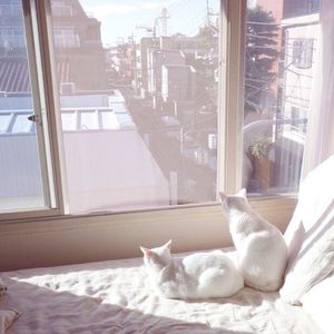 游泳教练伸进含奶摸爽69
